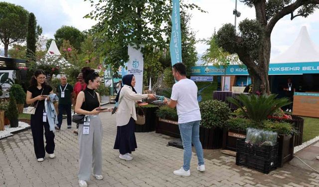 Kocaeli’den Sakarya’ya "yeşil çıkarma"