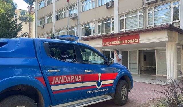 SİYASET