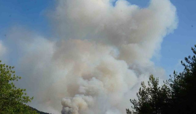 Valilikten açıklama: Yangın sebebiyle tahliye edilen köy sayısı 6’ya çıktı