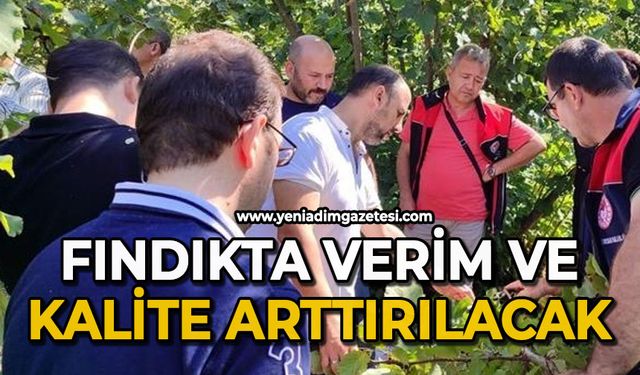 Fındıkta verim ve kalite arttırılacak