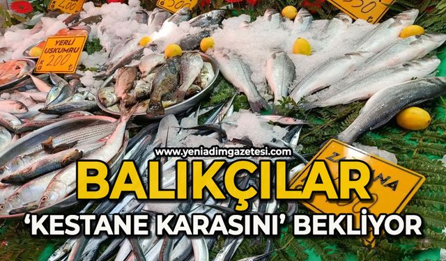 Balıkçılar palamut için "kestane karası"nı bekliyor