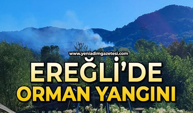 Ereğli'de orman yangını