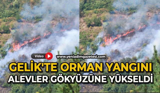 Gelik'te orman yangını: Alevler gökyüzüne kadar yükseldi
