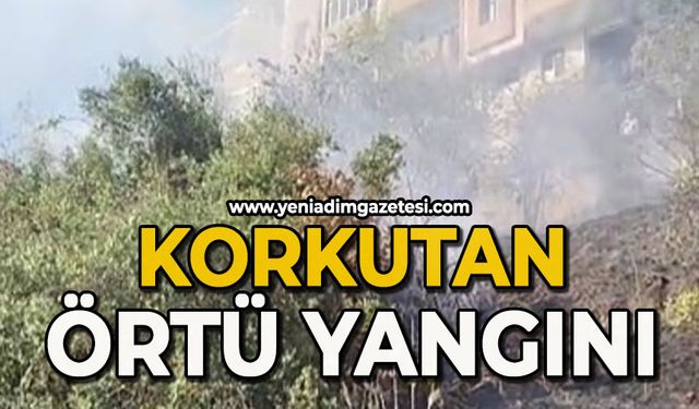 Korkutan örtü yangını