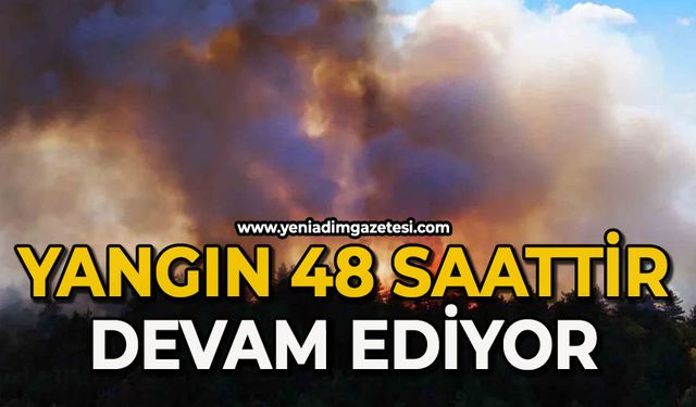 Yangın 48 saattir devam ediyor