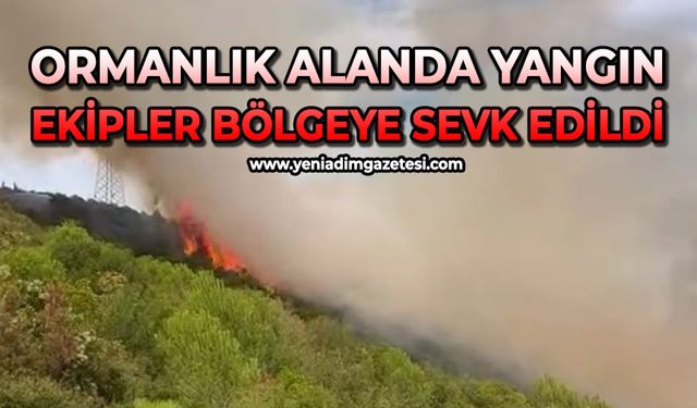 Ormanlık alanda yangın: Ekipler bölgeye sevk edildi