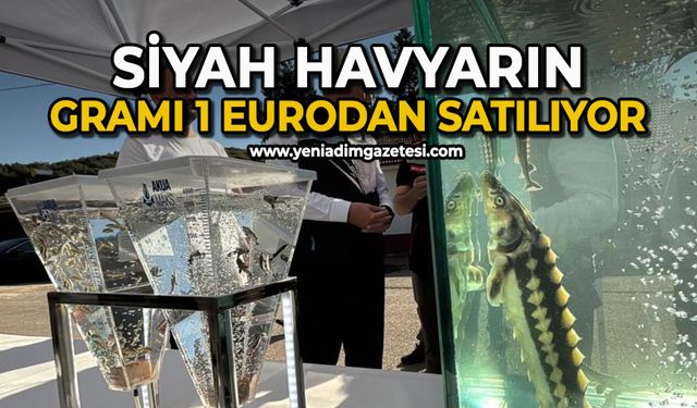 Siyah havyarın gramı 1 eurodan satılıyor