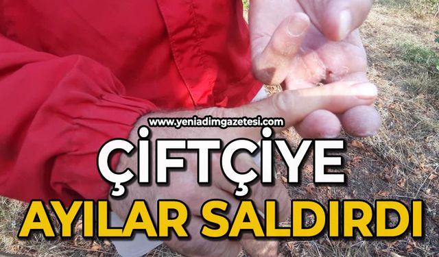 Çiftçiye ayılar saldırdı