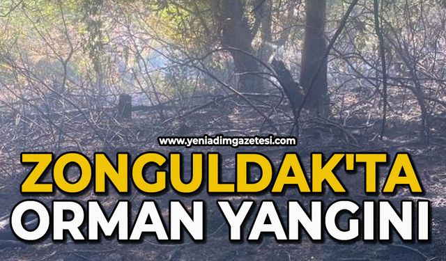 Zonguldak'ta orman yangını