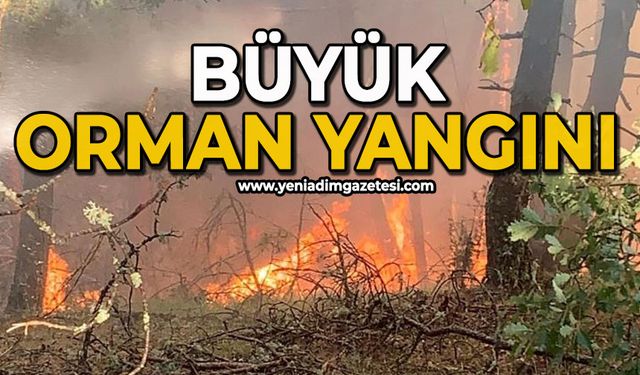 Büyük orman yangını