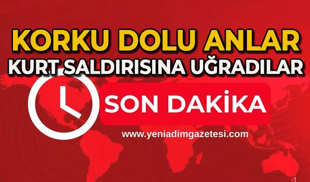 Korku dolu anlar: Kurt saldırısına uğradılar