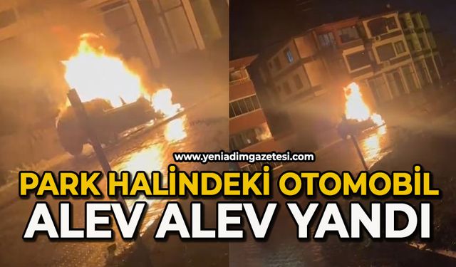 Otomobil park halinde alev alev yandı