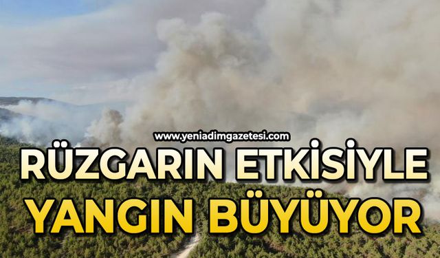 Orman yangını sürüyor: Kuvvetli rüzgar yangının enerjisini arttırdı