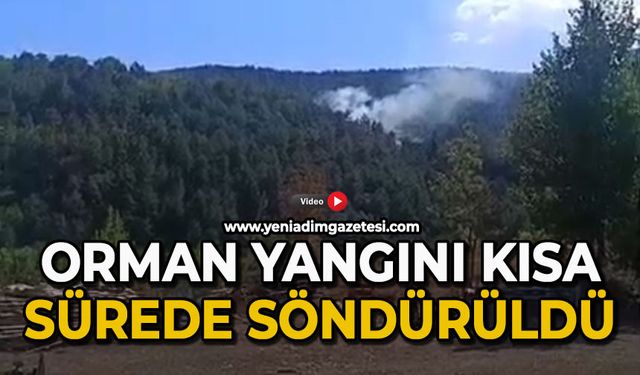 Orman yangın kısa sürede söndürüldü