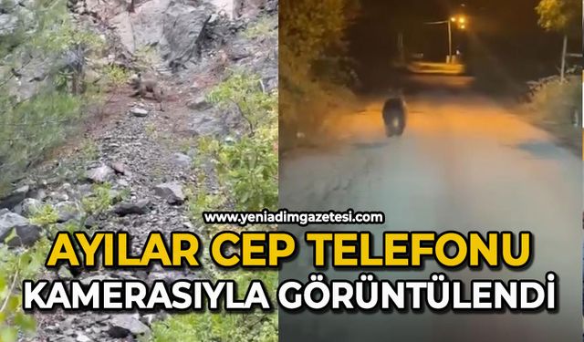 Ayılar cep telefonu kamerasıyla görüntülendi