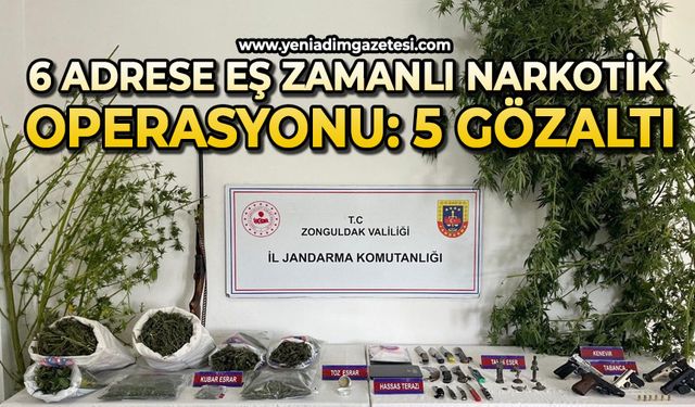 6 adrese eş zamanlı narkotik operasyonu: 5 gözaltı