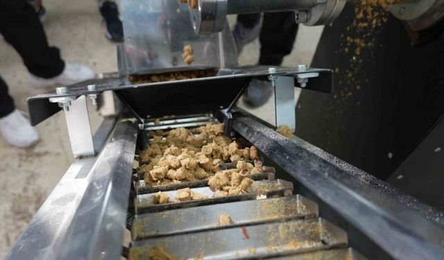 Sokak hayvanları için mama üretim tesisi kuruldu
