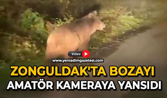 Zonguldak’ta bozayı amatör kameraya yansıdı