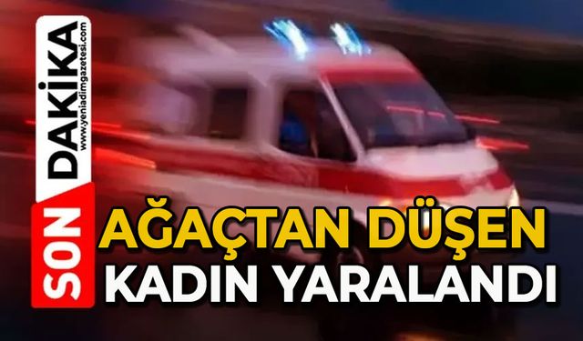 Ağaçtan düşen kadın yaralandı