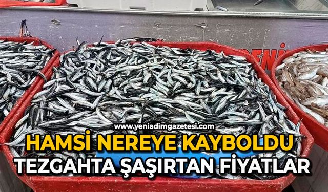 Hamsi nereye kayboldu: Tezgahta şaşırtan fiyatlar
