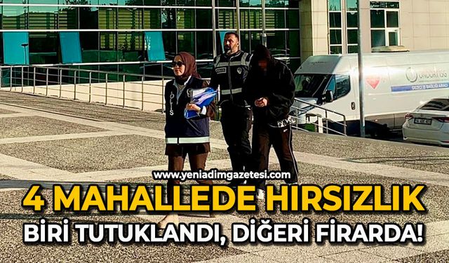 4 Mahallede hırsızlık: Biri tutuklandı, diğeri firarda!