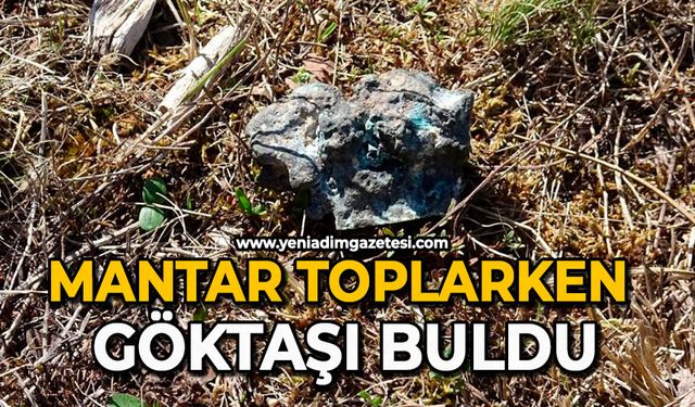 Mantar toplarken göktaşı buldu
