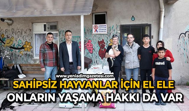 Sahipsiz hayvanlar için el ele: Onların yaşama hakkı da var