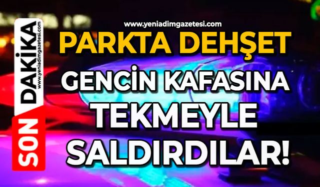 Parkta dehşet: Gencin kafasına tekmeyle saldırdılar!