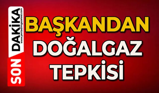 Başkandan doğalgaz tepkisi