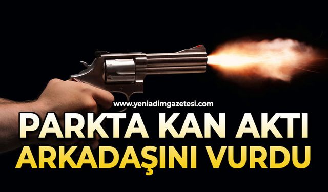 Parkta kan aktı: Arkadaşını vurdu