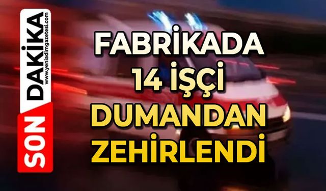 Fabrikada çalışan 14 işçi dumandan zehirlendi