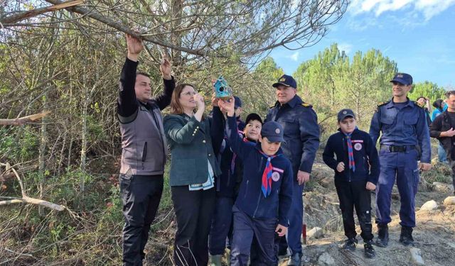 3 bin 500 adet fidan dikildi