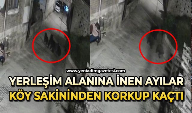 Yerleşim alanına inen ayılar köy sakininden korkup kaçtı