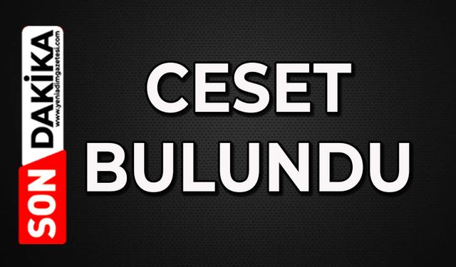 Ceset bulundu: Ekipler bölgeye sevk edildi