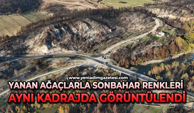 Yanan ağaçlarla sonbahar renkleri aynı kadrajda görüntülendi