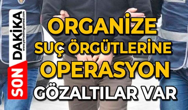 Organize Suç Örgütlerine operasyon: Gözaltılar var