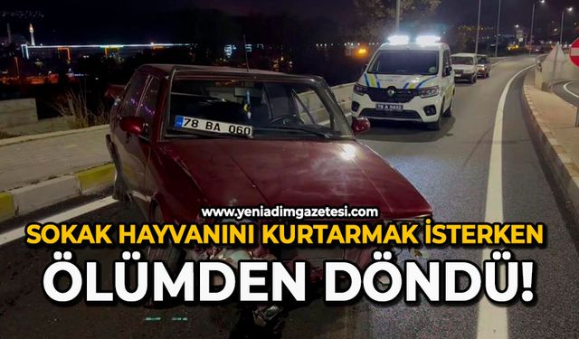Sokak hayvanını kurtarmak isterken ölümden döndü!