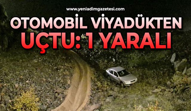 Otomobil viyadükten uçtu: 1 yaralı