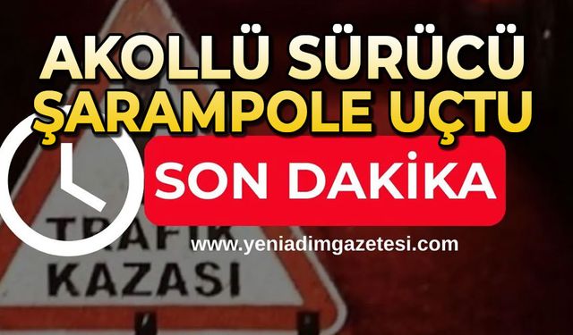 Alkollü sürücü şarampole uçtu