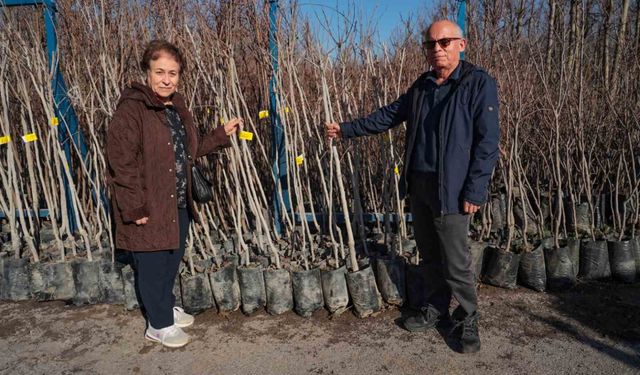 75 üreticiye 3 bin 600 fidan