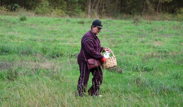 Doğaseverler Ormanya'nın zengin biyolojik çeşitliliğini keşfetti