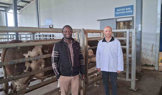 Mezbaha tesisi İslam ülkelerine örnek gösterildi