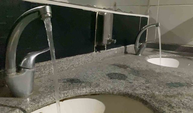 Salmonella enfeksiyonuna karşı altın kuralları uzmanı açıkladı