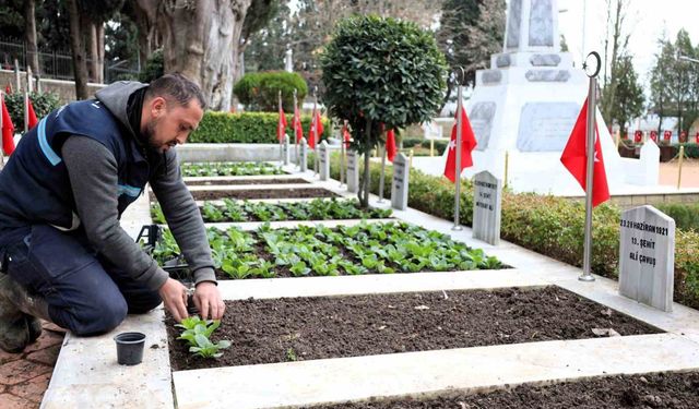 Şehitliklerde bakım ve çiçeklendirme çalışması