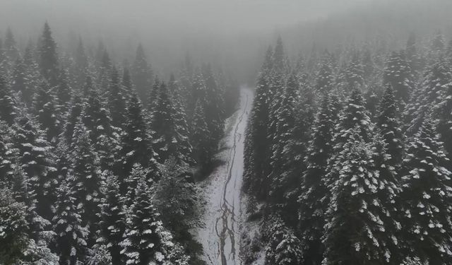 Yüksek kesimler beyaza büründü