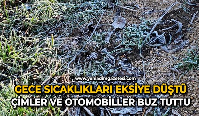 Gece sıcaklıkları eksiye düştü: Çimler ve otomobiller buz tuttu