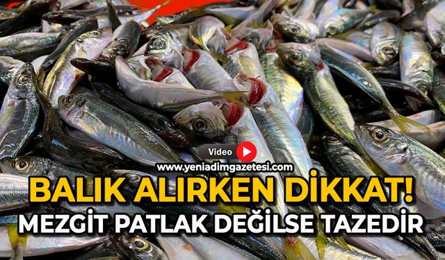 Balık alırken dikkat: Mezgit patlak değilse tazedir
