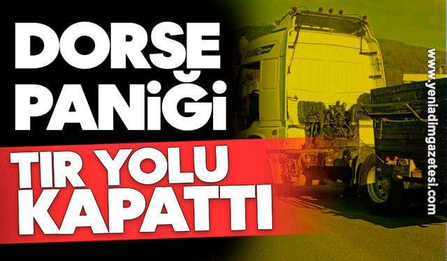 Dorse paniği: TIR yolu kapattı