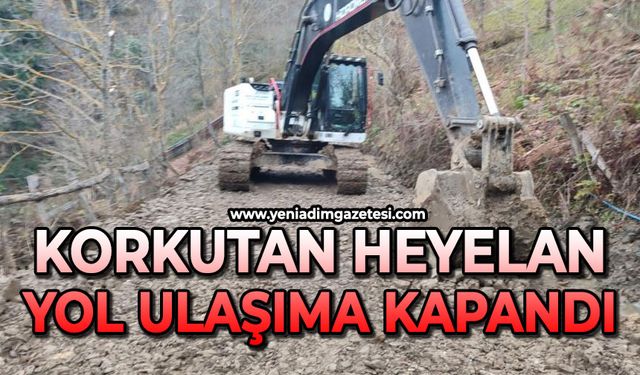 Korkutan heyelan: Yol ulaşıma kapandı