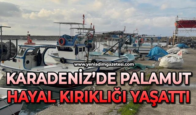 Karadeniz'de palamut hayal kırıklığı yaşattı